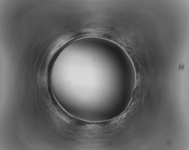 X0000097000150200802151421