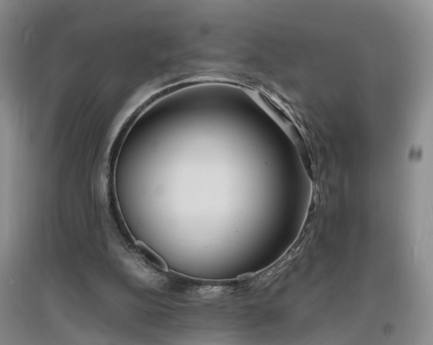 X0000097000152200802151421