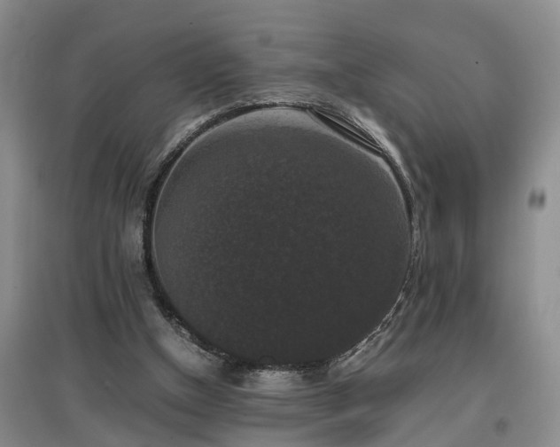 X0000097000154200802151422