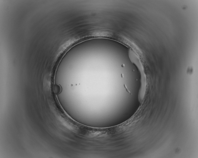 X0000097000155200802151422