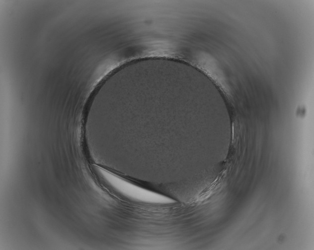 X0000097000156200802151422