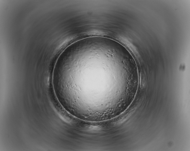 X0000097000157200802151422