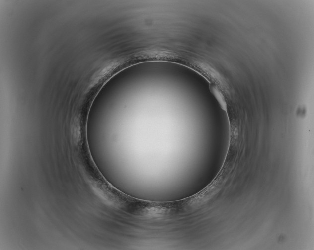 X0000097000158200802151422