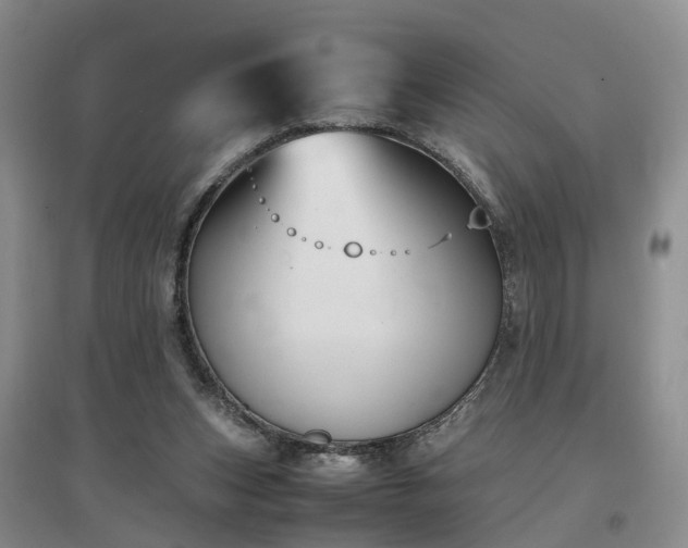 X0000097000159200802151422