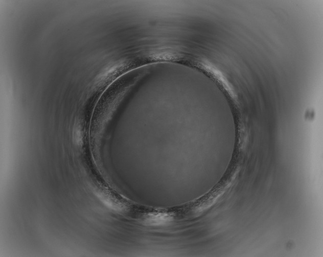 X0000097000161200802151422