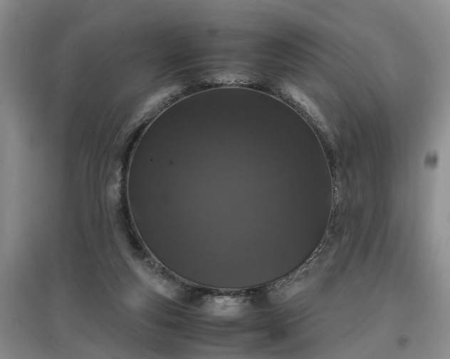 X0000097000163200802151422