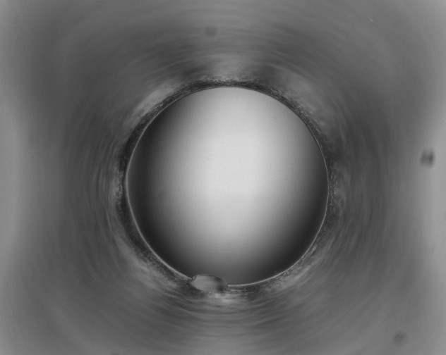 X0000097000164200802151422