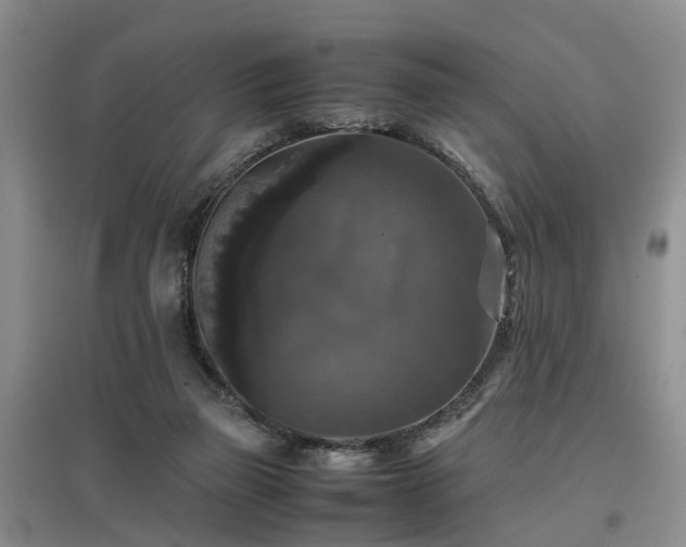 X0000097000165200802151422