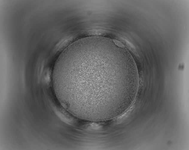 X0000097000166200802151422