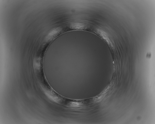 X0000097000167200802151422