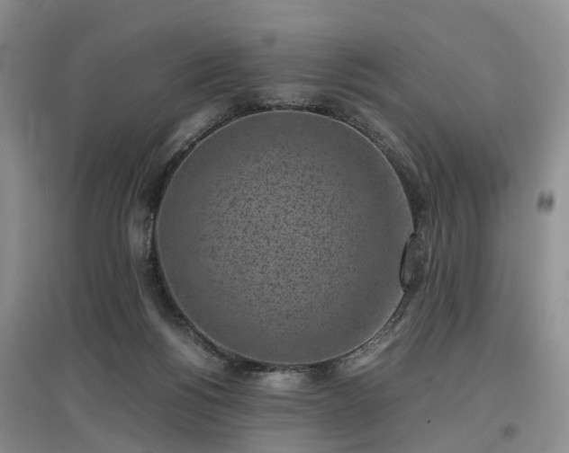 X0000097000168200802151422