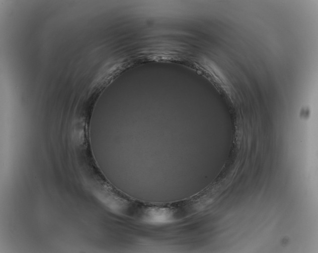 X0000097000169200802151422