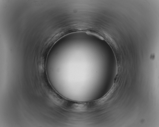 X0000097000170200802151422