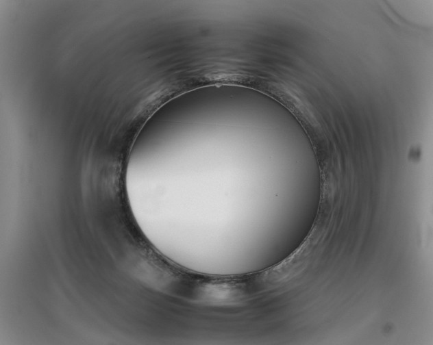 X0000097000171200802151422