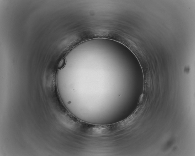 X0000097000172200802151422