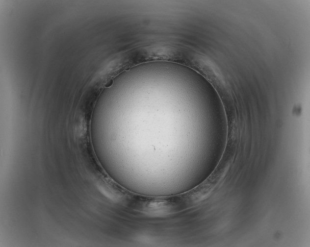 X0000097000173200802151422