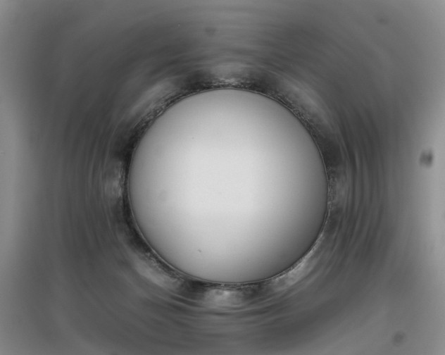 X0000097000174200802151422