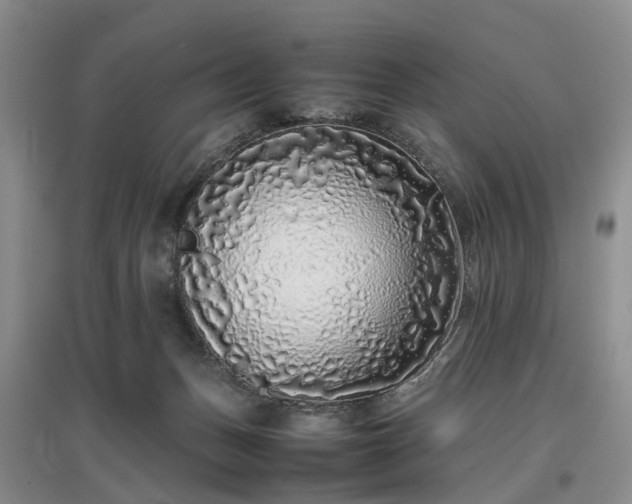 X0000097000175200802151422