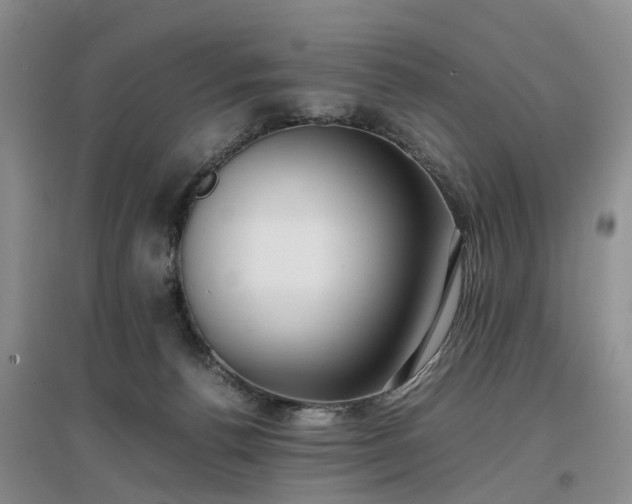 X0000097000176200802151422