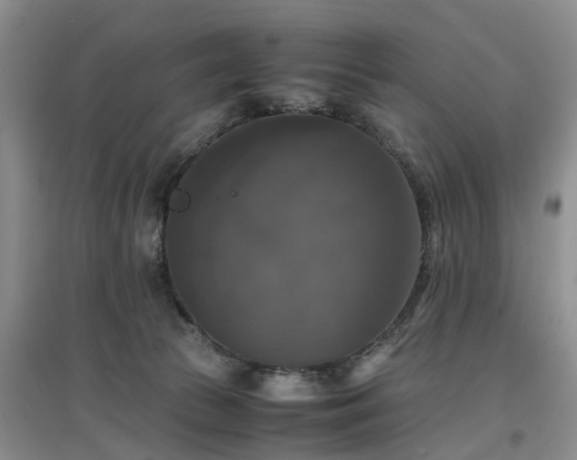 X0000097000177200802151422