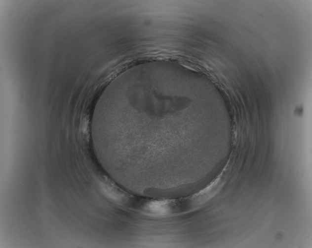 X0000097000178200802151422