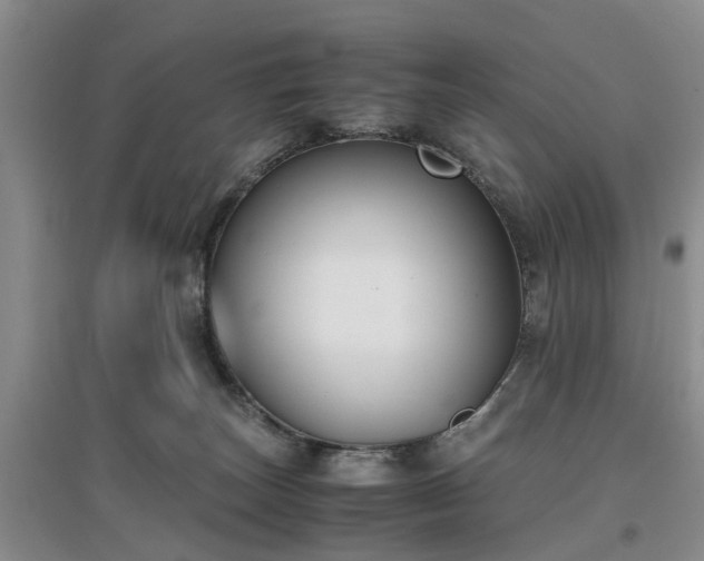 X0000097000179200802151422