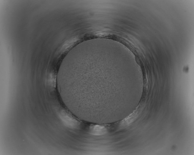 X0000097000180200802151422