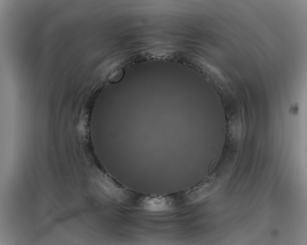 X0000097000181200802151422