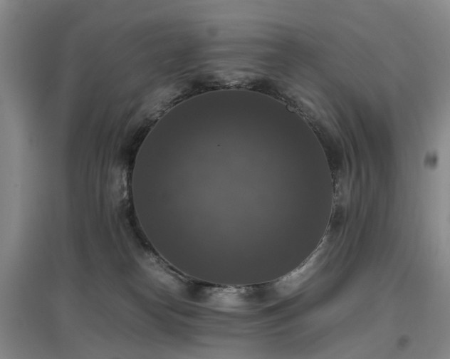 X0000097000182200802151422