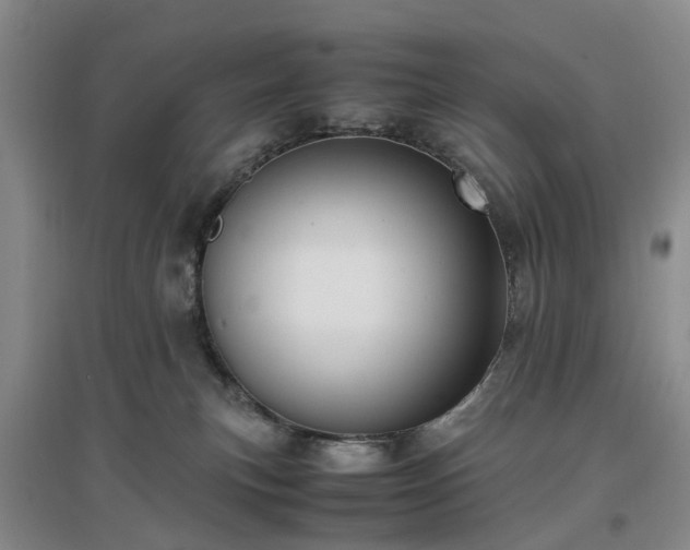 X0000097000183200802151422