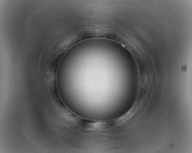 X0000097000184200802151422