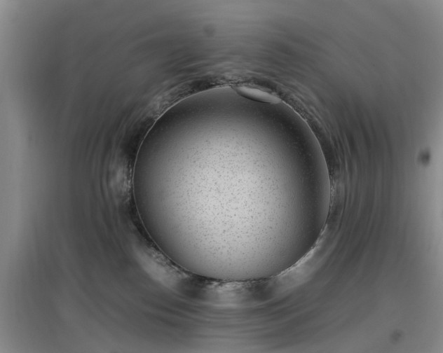 X0000097000186200802151422