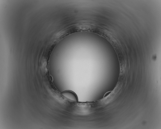 X0000097000187200802151422