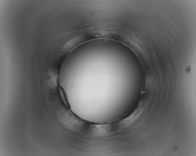 X0000097000188200802151422