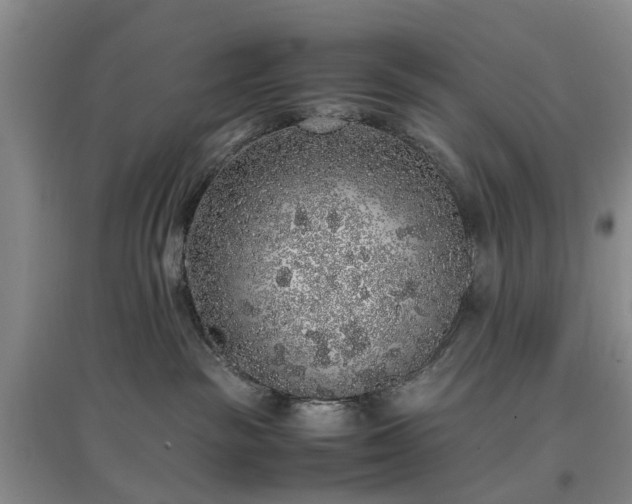 X0000097000189200802151422