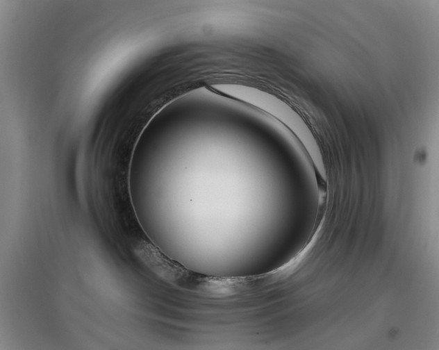 X0000097000190200802151422