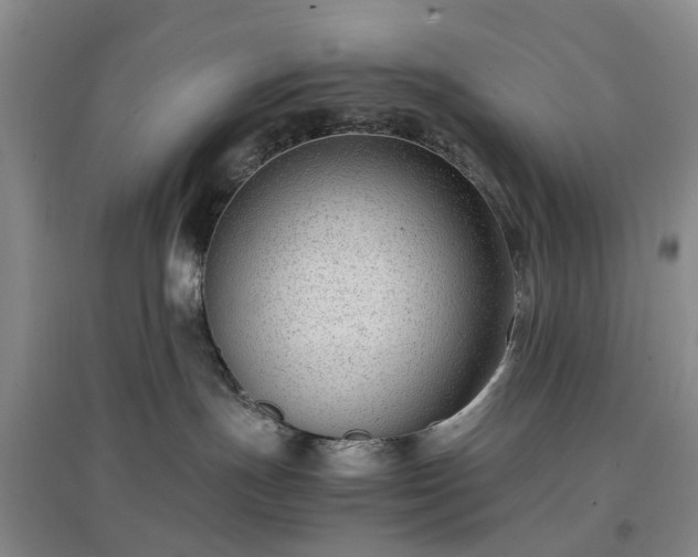 X0000097000191200802151422