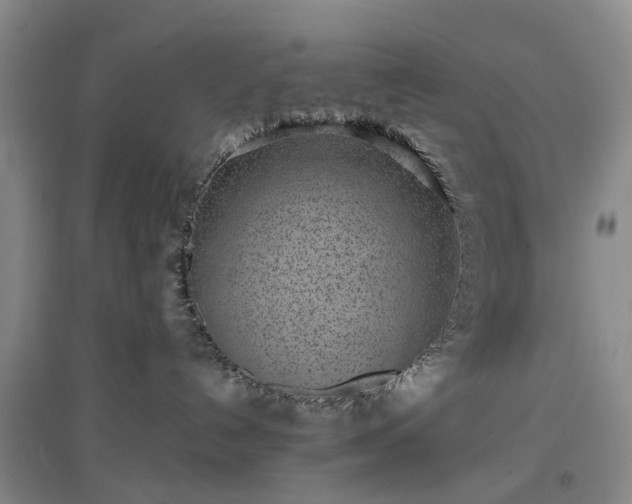 X0000097000192200802151422