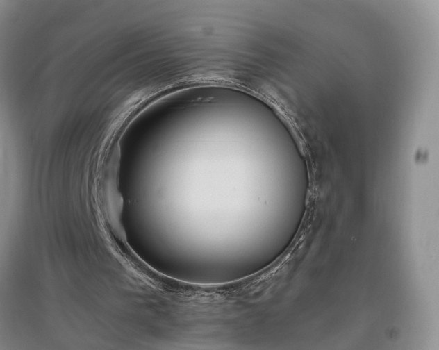 X0000097000193200802151421