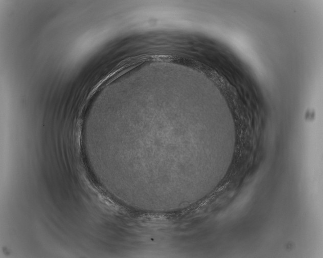 X0000097000194200802151421