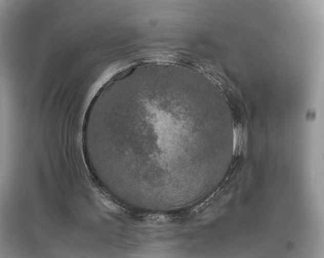 X0000097000195200802151421