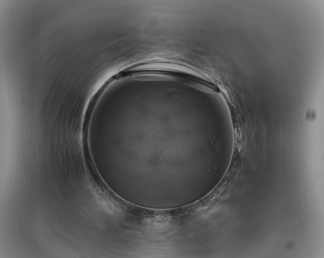 X0000097000196200802151421