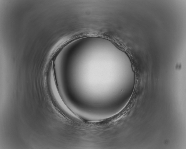 X0000097000197200802151421