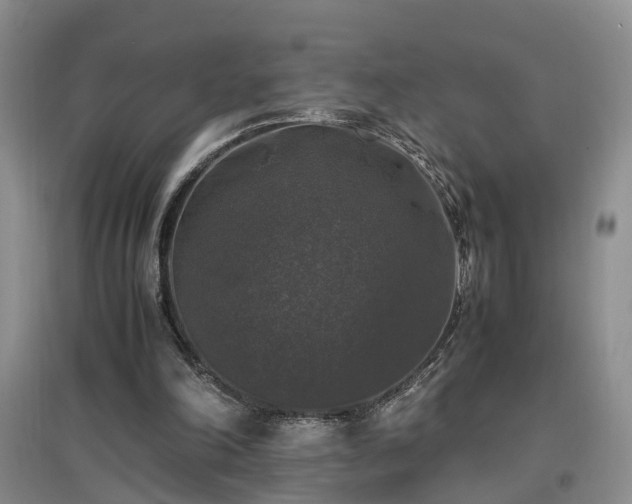 X0000097000198200802151421