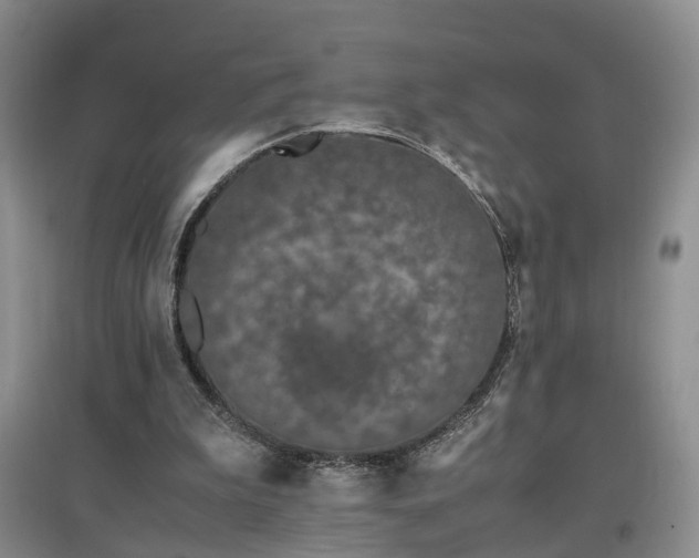 X0000097000199200802151421