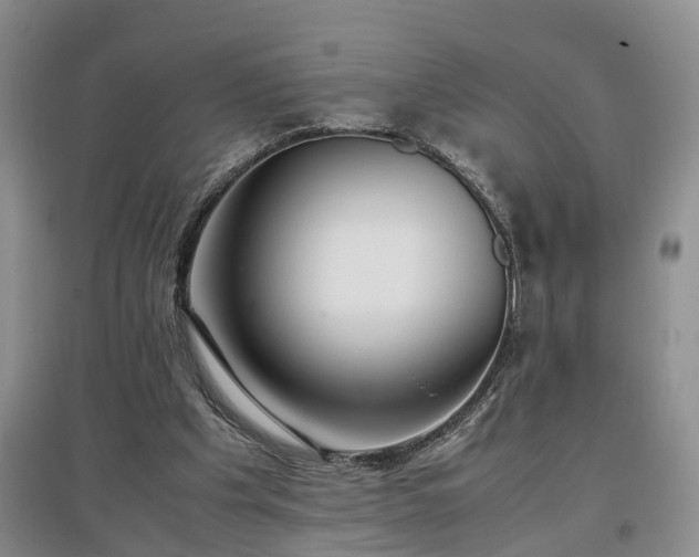 X0000097000201200802151421