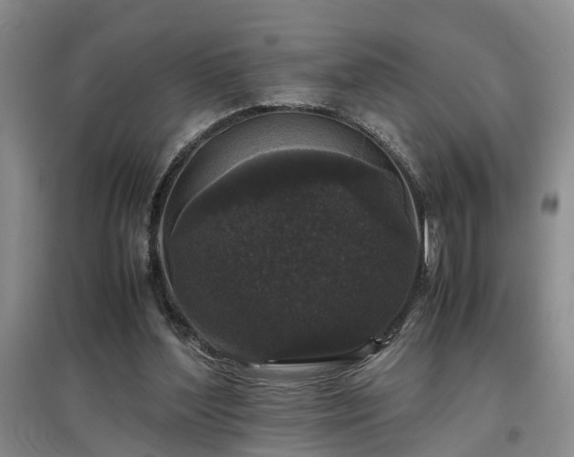 X0000097000204200802151421