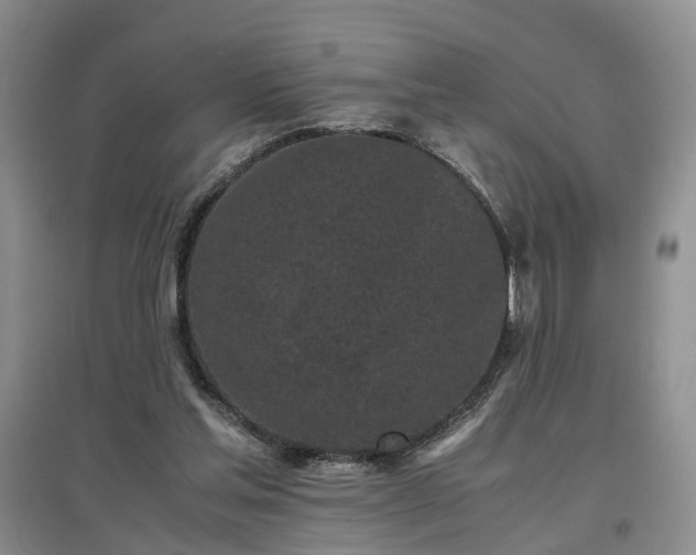 X0000097000205200802151421