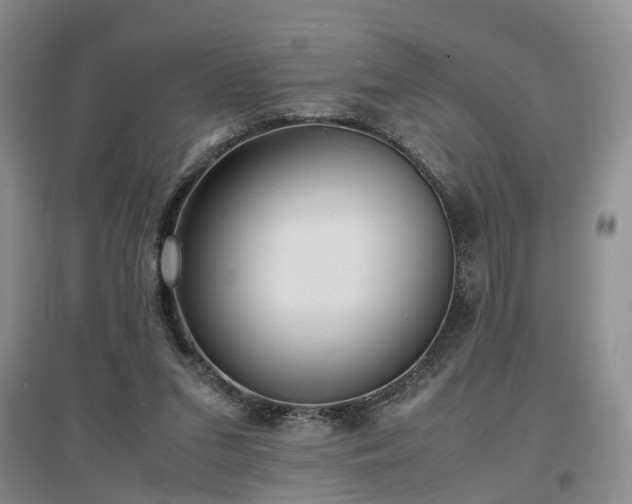 X0000097000207200802151421