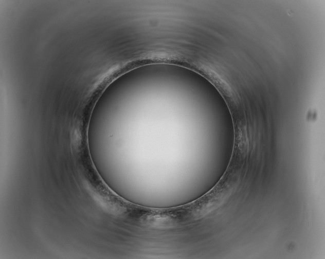 X0000097000208200802151421